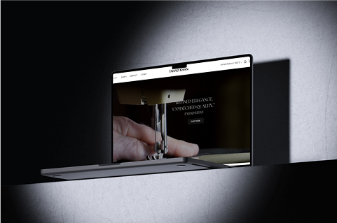 Website Portfolio example